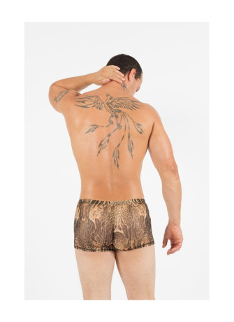 Boxer Savanna  - LM61-67